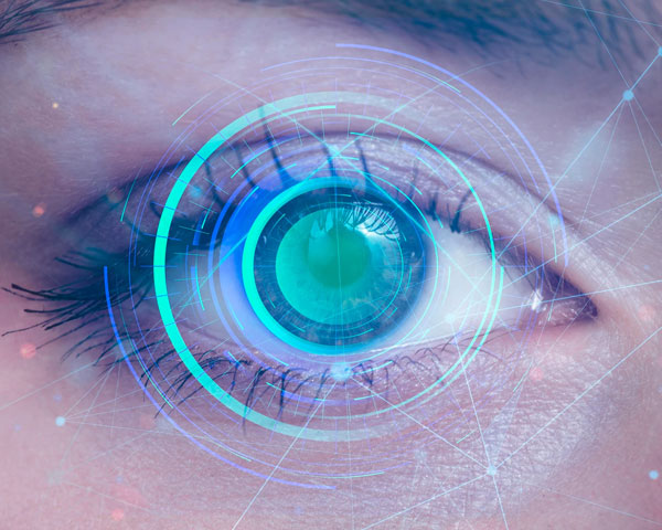 Macular Degeneration